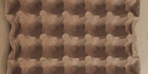 Food Moulded Paper Pulp Tray Egg Tray 30Pcs