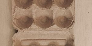 Food Moulded Paper Pulp Tray Egg Tray 6pcs