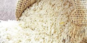 Bulk Rice
