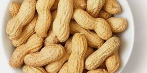 organic bites groundnut