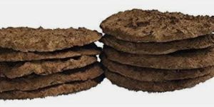 Organic Cow Dung Cakes