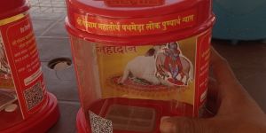 Cow Donation Box