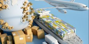 Domestic Cargo Service