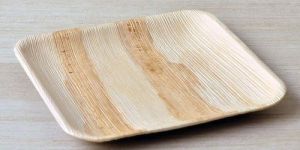 9 Inch Square Areca Leaf Plate