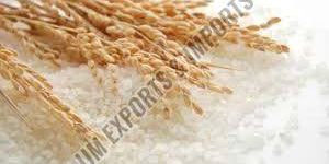Rice Paddy
