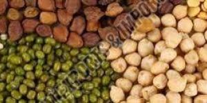 Indian Pulses