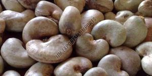 Raw Cashew Nuts