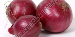 Red Onions