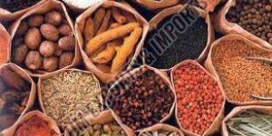 Indian Spices