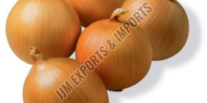 Yellow Onion