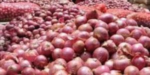 a Grade Fresh Red Onion