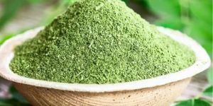 Natural Moringa Powder