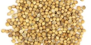 Premium Coriander Seeds