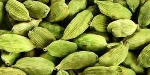 Raw Green Cardamom