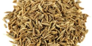 Superior Cumin Seeds