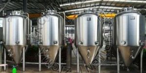 Vegetable Flakes Processing Plant