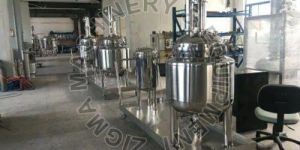 Mango Pulp Processing Plant