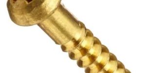 Golden Brass Screw