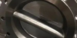 Alloy Dual Plate Check Valve