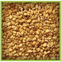 Golden Sesame Seeds