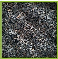 Niger Seeds