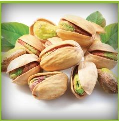 Pistachio
