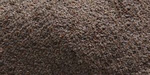 Psyllium Seeds
