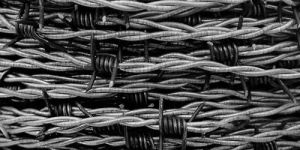 Barbed Wire