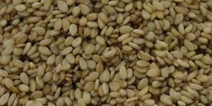 Natural Sortex Sesame Seed