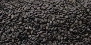 Z Black Sesame Seeds
