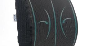 Ergo Lumbar Support Cushion