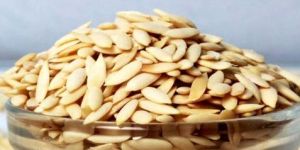 Muskmelon Seeds