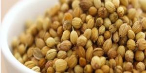 Coriander Seeds
