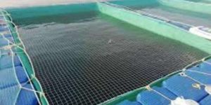 Fish Breeding Nets