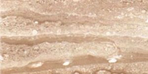 Breccia Diana Italian Marbles