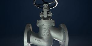ND40 Globe Valves