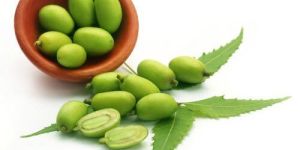 Neem Fruit