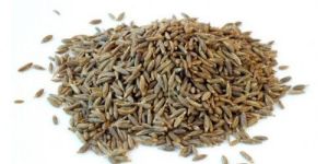 Cumin Seeds