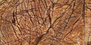 Rain Forest Brown Marble