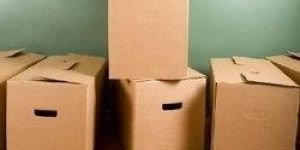 Carton Packaging Box