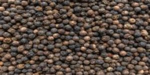 Black Pepper
