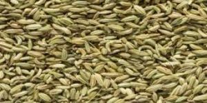 Fennel Seeds