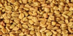 Fenugreek Seeds