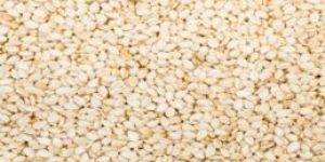 Natural Sesame Seeds