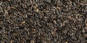 Niger Seeds