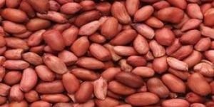 Raw Peanuts