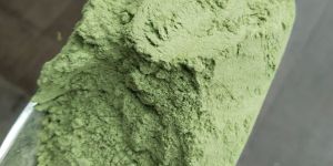 Moringa Powder