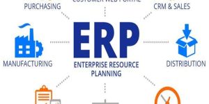 ERP Software Development Services