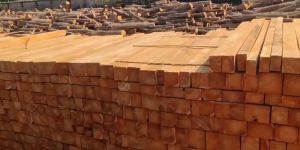 Assam,nagaland Teak Wood