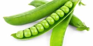 Fresh Green Peas